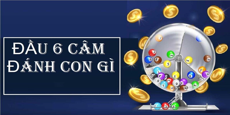 Đầu 6 câm đánh con gì được bật mí chi tiết